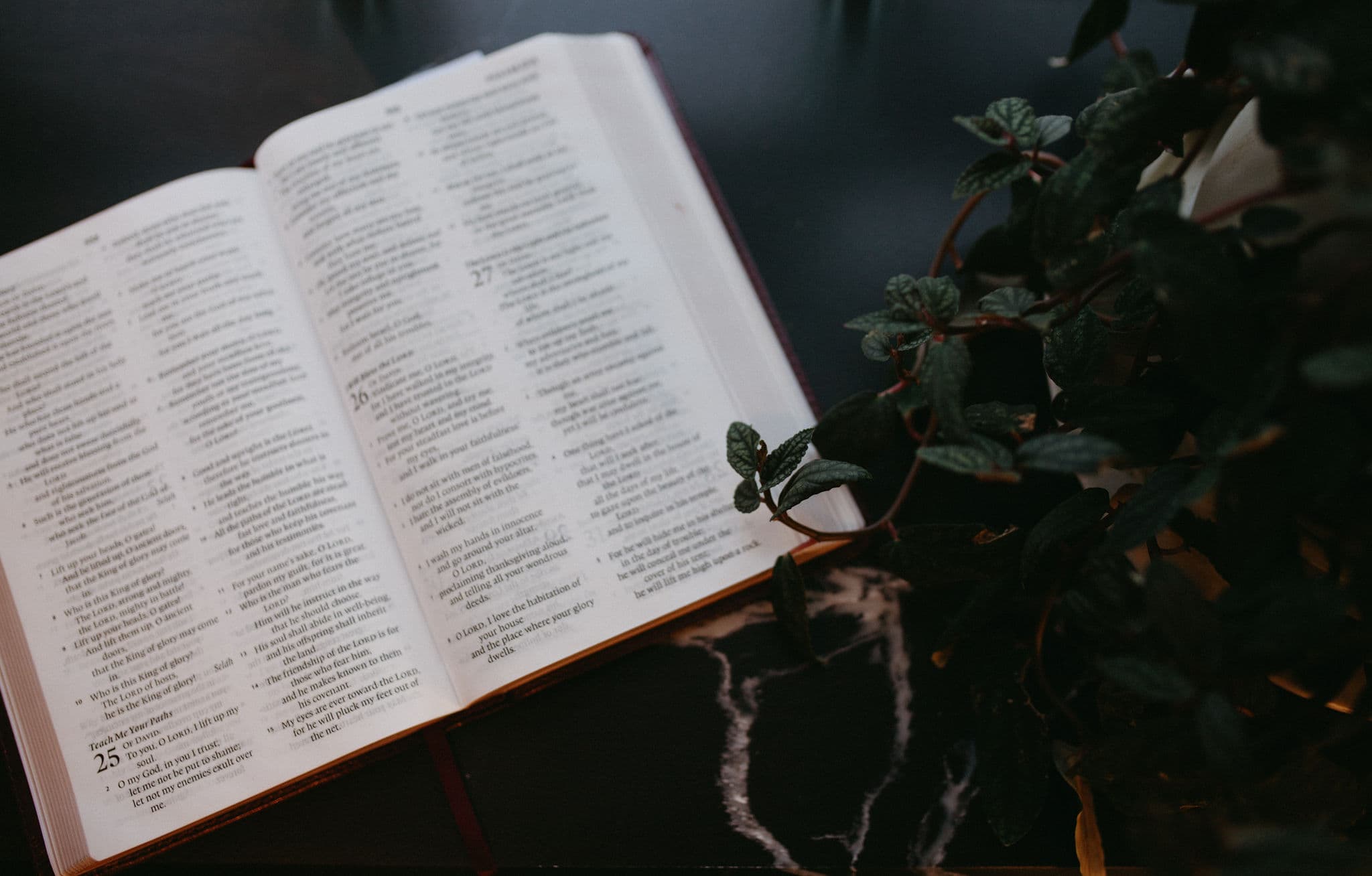An image of an old Bible on a black table framed with vines.